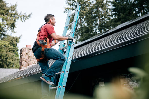 Best Roof Maintenance and Cleaning  in Guthrie Center, IA